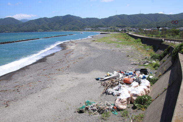 【活動報告】美しい浜プロジェクトIn岩出浜